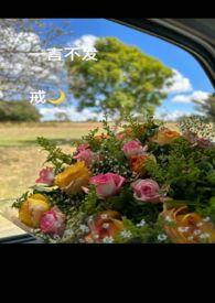 一言不发前一句是什么