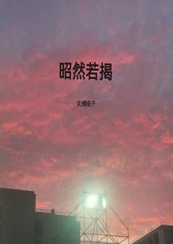 昭然若揭免费阅读