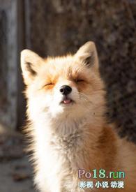 睡了反派男二之后(1v1)/H