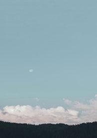 天真有邪txt趣书网