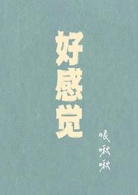 感觉跟好感有区别吗