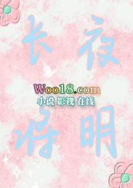 长夜将明书包网