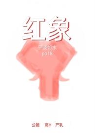 红象公媳结局