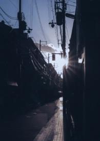 你是我的曙光破全文免费