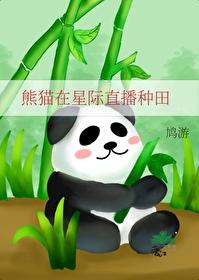 熊猫穿越星际成为网红