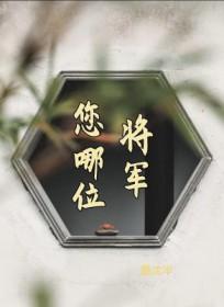 将军你要干什么