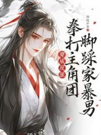 拳打主角团脚踩家暴男txt