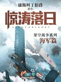 惊涛落日在线阅读免费