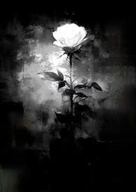 藏起来全文免费阅读无弹窗