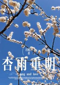 杏雨梨云的意思