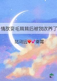 情敌突然变成了我家的猫怎么办