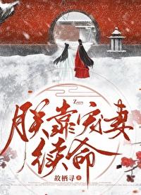 朕靠宠妻续命讲什么