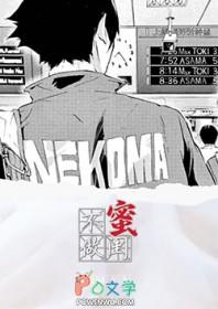 排球少年原创女主文