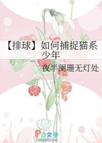 排球猫控少女的日常