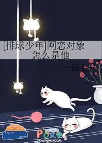 排球少年男主女朋友