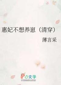 慧妃清穿
