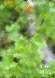 新芽心燕是什么公司值得加盟吗