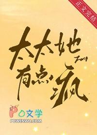 太太她有点疯晋江