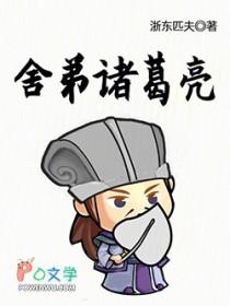 舍弟诸葛亮txt校正版