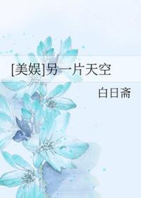 另一片天空读后感
