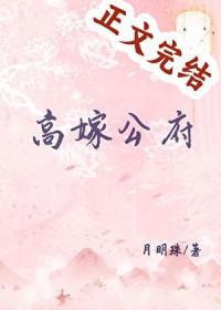 高嫁公府月明珠番外TXT百度