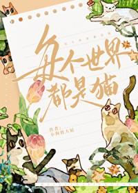 这世界都是猫的是什么生肖