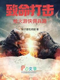 致命打击枪火游侠佣兵路TXT免费阅读