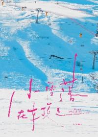 雪落在车上怎么形容