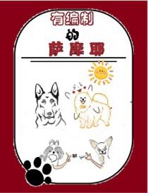 有编制的萨摩耶番外