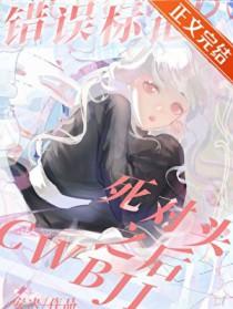 错误标记番外txt