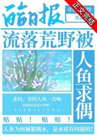 流落荒岛怎么办全文