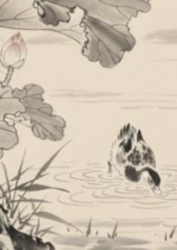 全京城都在等我出续集的最新章节更新时间