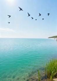 归去来兮完整歌词