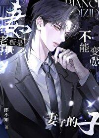做老板的老婆
