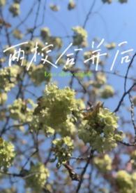 两所高校合并