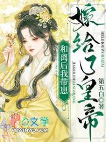 和离后我嫁给了皇帝晋江