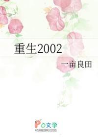 重生2002年如何发财