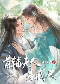 首辅夫人免费阅读