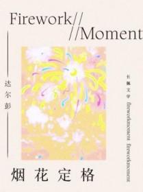 烟花定格动画