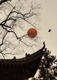 雀儿是啥
