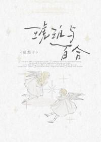 琥珀与百合讲什么