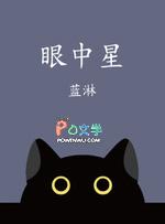 眼中星广播剧讲的什么