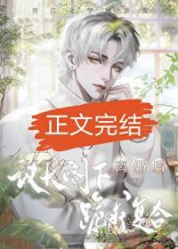 联邦议员和国会议员