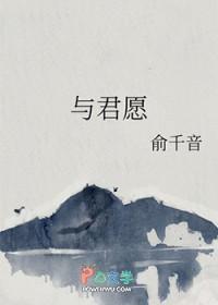 与君愿歌词
