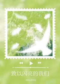 以闪亮之名宣传视频