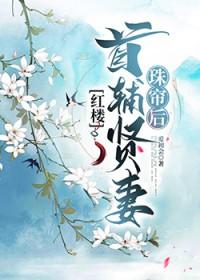 红楼首辅贤妻珠帘后最新更新免费版