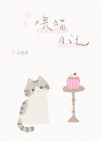 喂猫日记txt百度