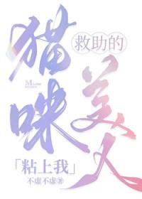 猫咪卖萌救主人