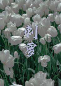 刺萝卜是什么东西