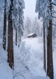 林场地铁3号线时间表